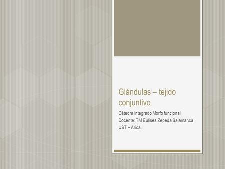 Glándulas – tejido conjuntivo