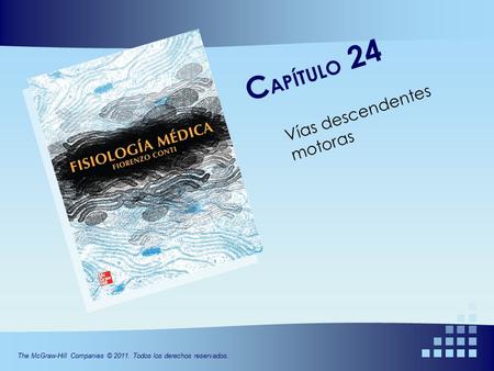 The McGraw-Hill Companies © 2011. Todos los derechos reservados. C APÍTULO 24 Vías descendentes motoras.