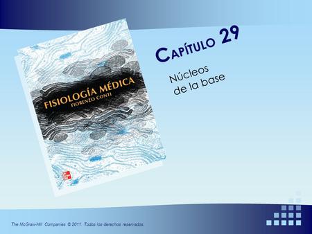 The McGraw-Hill Companies © 2011. Todos los derechos reservados. C APÍTULO 29 Núcleos de la base.