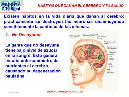 Existen hábitos en la vida diaria que dañan al cerebro; prácticamente se destruyen las neuronas disminuyendo sensiblemente la cantidad de las mismas.