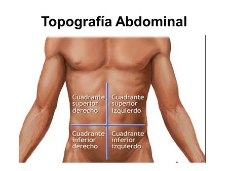 Topografía Abdominal.