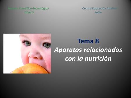 Tema 8 Aparatos relacionados con la nutrición Centro Educación Adultos Ávila Ámbito Científico-Tecnológico Nivel 3.
