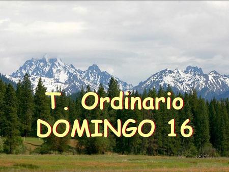 T. Ordinario DOMINGO 16.