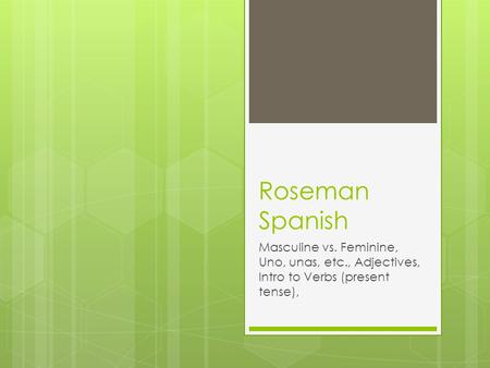Roseman Spanish Masculine vs. Feminine, Uno, unas, etc., Adjectives, Intro to Verbs (present tense),