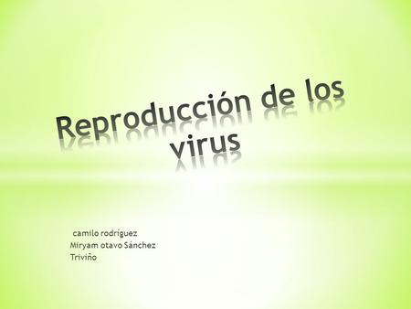 camilo rodríguez Miryam otavo Sánchez Triviño ¿Qué es? Un virus es básicamente una pequeña cantidad de material genético dentro de una cubierta. -No.