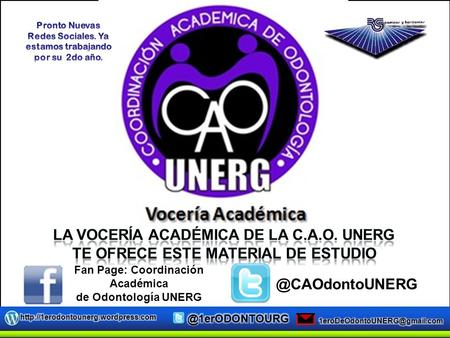 La vocería Académica de la C.A.O. UNERG