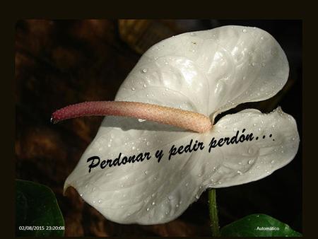 P e r d o n a r y p e d i r p e r d ó n … 02/08/2015 23:21:42 Automático.