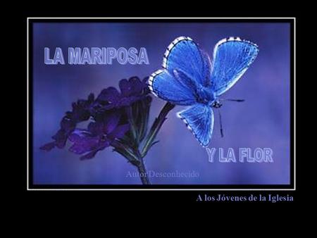 Autor Desconhecido A los Jóvenes de la Iglesia Cierta vez, un hombre pidió a Dios una flor......y una mariposa.