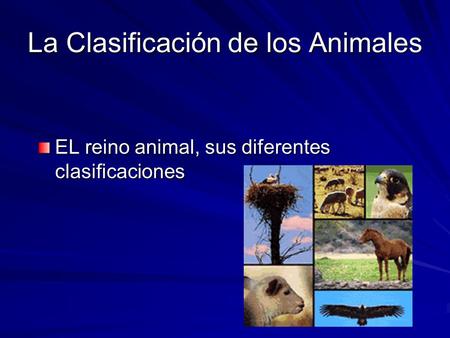 La Clasificación de los Animales