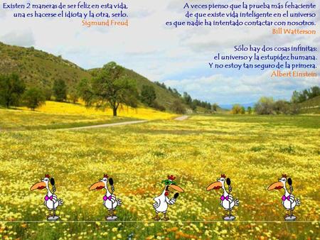 Existen 2 maneras de ser feliz en esta vida, una es hacerse el idiota y la otra, serlo. Sigmund Freud A veces pienso que la prueba más fehaciente de que.
