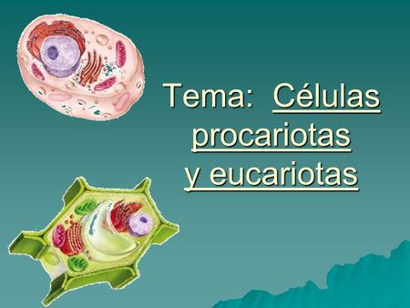 Tema: Células procariotas y eucariotas