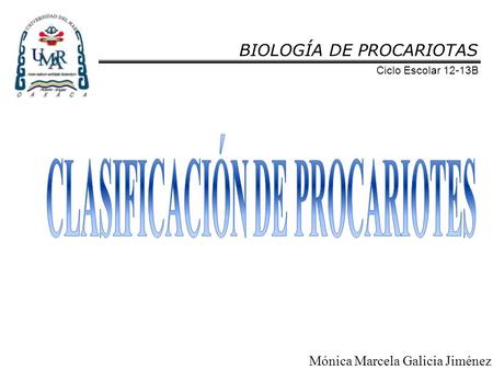 CLASIFICACIÓN DE PROCARIOTES