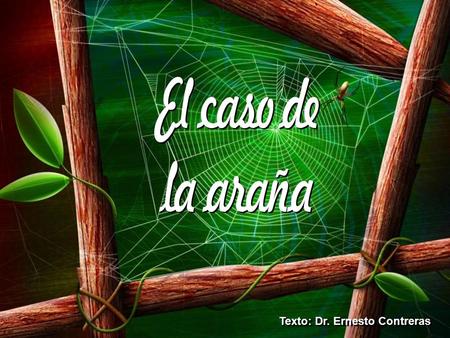 Texto: Dr. Ernesto Contreras Las arañas son capaces de elevarse hacia el cielo, más alto que cualquier otra criatura viva en nuestro planeta. He aquí.