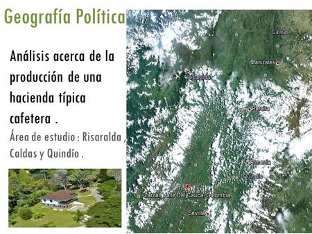 Análisis acerca de la producción de una hacienda típica cafetera. Área de estudio : Risaralda, Caldas y Quindío. Geografía Política.