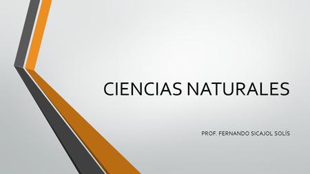 PROF. FERNANDO SICAJOL SOLÍS
