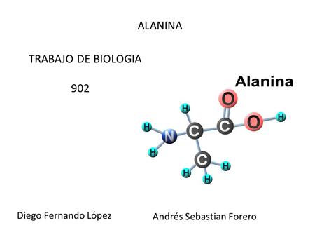 ALANINA TRABAJO DE BIOLOGIA 902 Diego Fernando López Andrés Sebastian Forero.