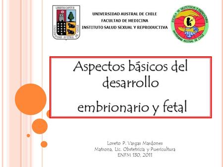 UNIVERSIDAD AUSTRAL DE CHILE INSTITUTO SALUD SEXUAL Y REPRODUCTIVA
