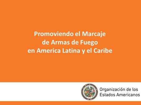 Promoviendo el Marcaje de Armas de Fuego en America Latina y el Caribe.