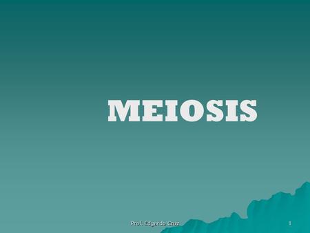 MEIOSIS Prof. Edgardo Cruz.