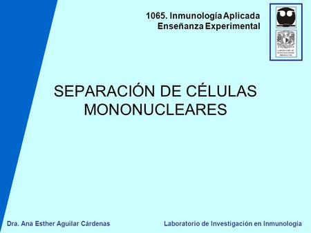 SEPARACIÓN DE CÉLULAS MONONUCLEARES