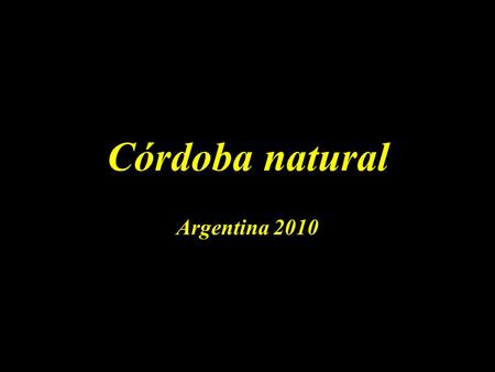 Córdoba natural Argentina 2010.