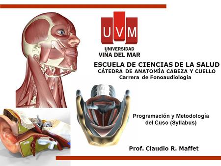 ESCUELA DE CIENCIAS DE LA SALUD CÁTEDRA DE ANATOMÍA CABEZA Y CUELLO Carrera de Fonoaudiología Prof. Claudio R. Maffet Programación y Metodología del Cuso.