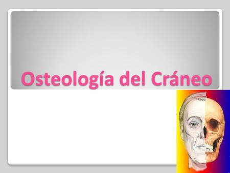 Osteología del Cráneo.