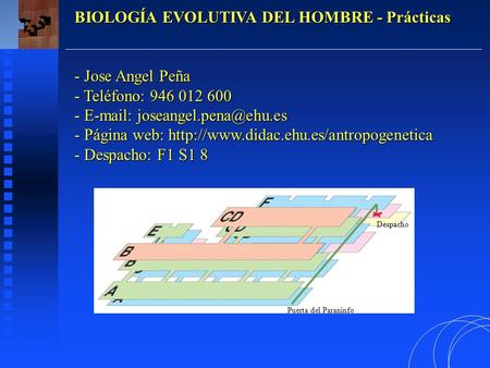 BIOLOGÍA EVOLUTIVA DEL HOMBRE - Prácticas - Jose Angel Peña - Teléfono: 946 012 600 -   - Página web:http://www.didac.ehu.es/antropogenetica.