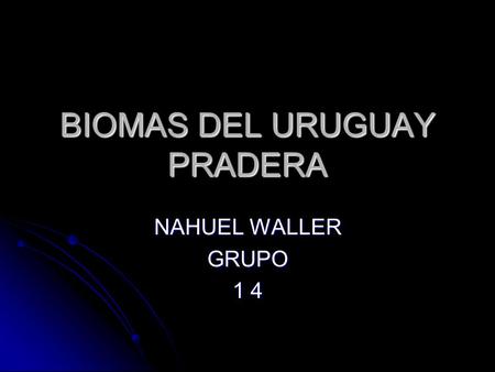 BIOMAS DEL URUGUAY PRADERA