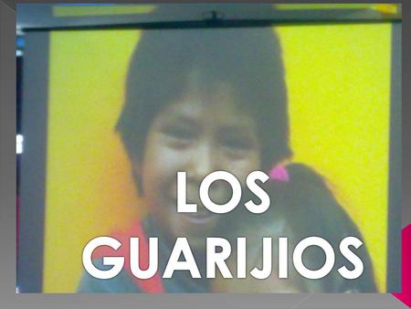 LOS GUARIJIOS.