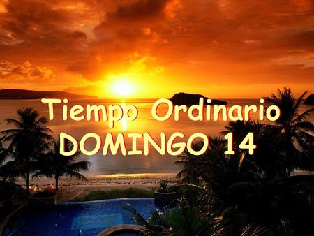 Tiempo Ordinario DOMINGO 14 Tiempo Ordinario DOMINGO 14.