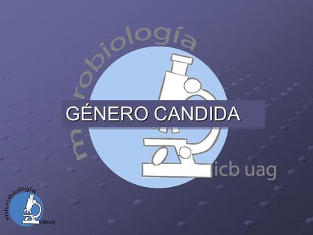 GÉNERO CANDIDA.