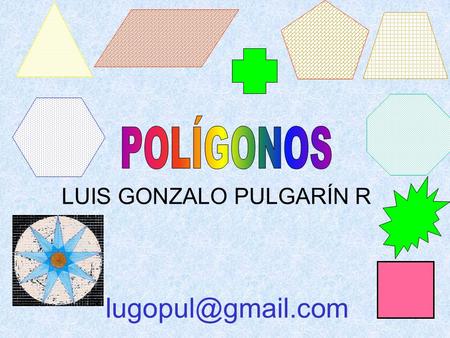 LUIS GONZALO PULGARÍN R