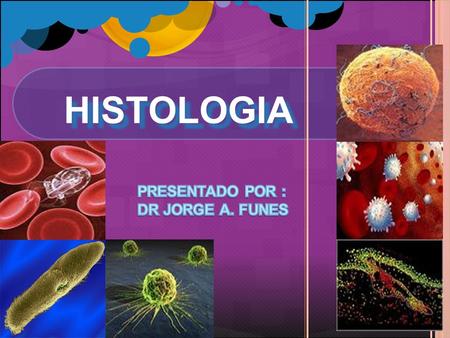 HISTOLOGIA PRESENTADO POR : DR JORGE A. FUNES.