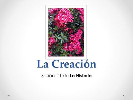 La Creación Sesión #1 de La Historia.