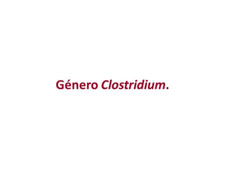 Género Clostridium..