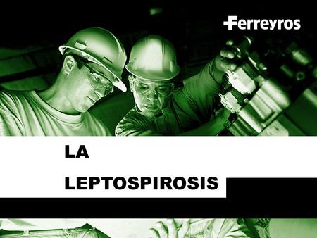 LA LEPTOSPIROSIS.