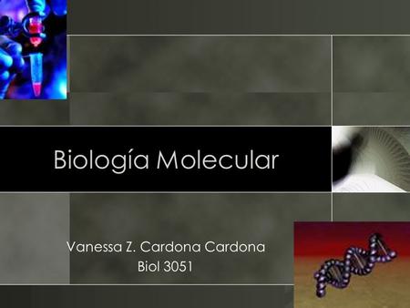 Biología Molecular Vanessa Z. Cardona Cardona Biol 3051.