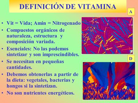 DEFINICIÓN DE VITAMINA