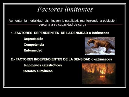 Factores limitantes Aumentan la mortalidad, disminuyen la natalidad, manteniendo la población cercana a su capacidad de carga 1.-FACTORES DEPENDIENTES.