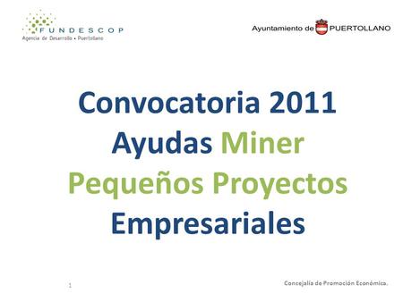 1 Convocatoria 2011 Ayudas Miner Pequeños Proyectos Empresariales Concejalía de Promoción Económica.