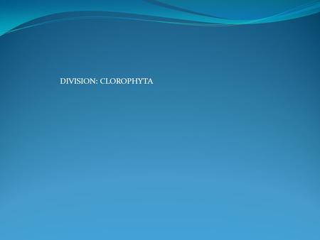DIVISION: CLOROPHYTA.