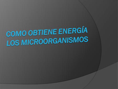 Como obtiene energía los microorganismos