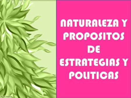 NATURALEZA Y PROPOSITOS DE ESTRATEGIAS Y POLITICAS