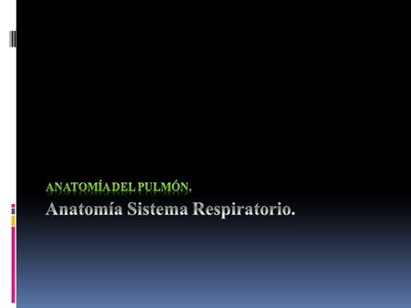 Anatomía Sistema Respiratorio.
