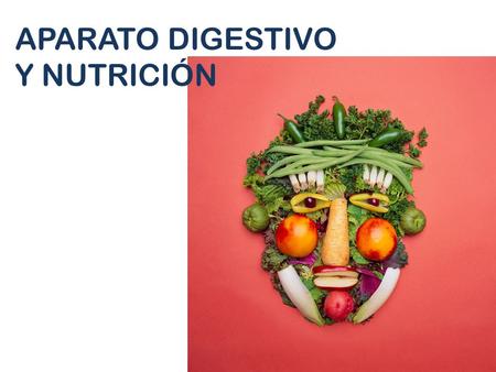 APARATO DIGESTIVO Y NUTRICIÓN. Nutrición: función a través de la cual los seres vivos obtienen la materia y energía necesarias para crecer y mantenerse.