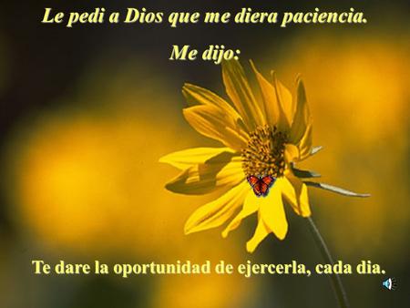 Le pedi a Dios que me diera paciencia.