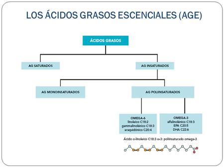 LOS ÁCIDOS GRASOS ESCENCIALES (AGE). SINTESIS Y COMPETITIVIDAD.