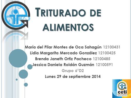 Triturado de alimentos