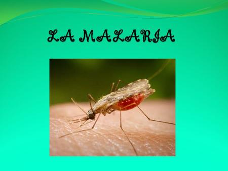 1.¿Qué es la malaria? La malaria es una infección de los glóbulos rojos causada por el Plasmodium (Una bacteria que transporta la hembra del mosquito.